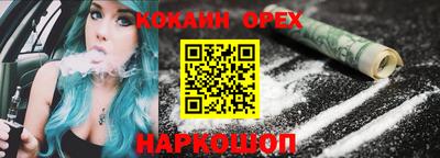 крисы Обь