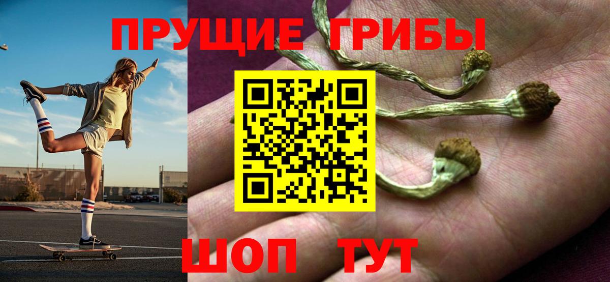 Галлюциногенные грибы ЛСД  Вход с VPN  купить  цена  Псилоцибиновые грибы Psilocybe  Ростов Великий 