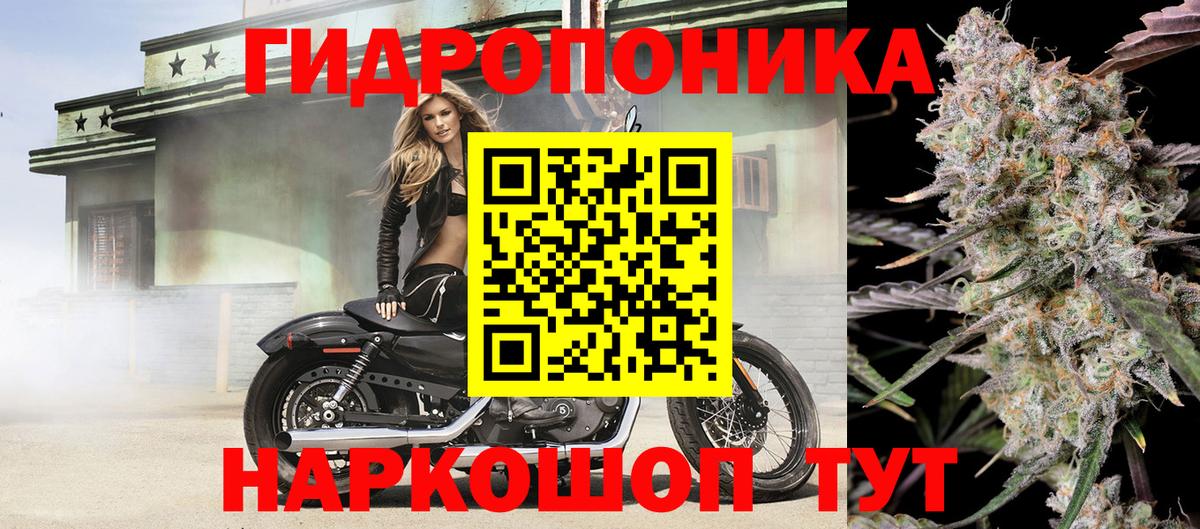 Бошки Шишки ГИДРОПОН  Марихуана семена  Ростов Великий  Шишки марихуана THC 21%  Вход с VPN 